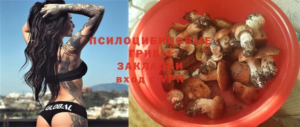 Альфа ПВП Баксан