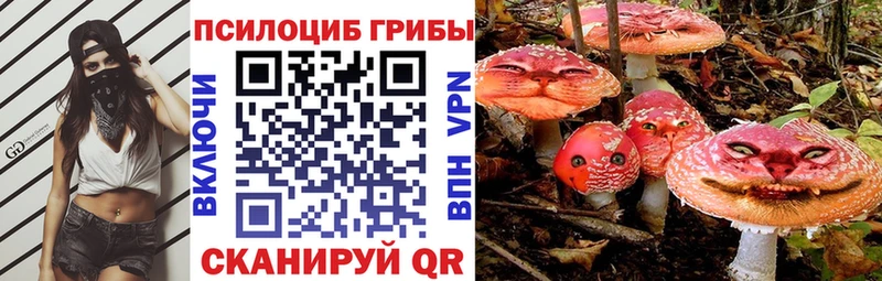 Галлюциногенные грибы GOLDEN TEACHER  Купить где  Приморско-Ахтарск 